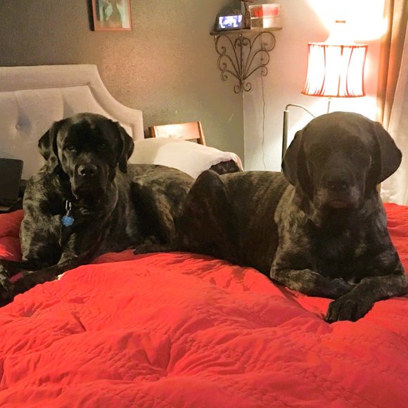 Just me... - Picture 4 of 4